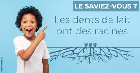https://dr-minh-phan.chirurgiens-dentistes.fr/Les dents de lait 2
