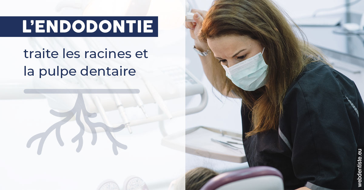https://dr-minh-phan.chirurgiens-dentistes.fr/L'endodontie 1