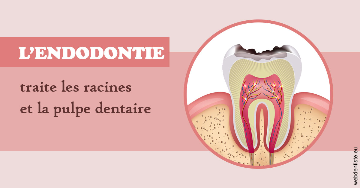 https://dr-minh-phan.chirurgiens-dentistes.fr/L'endodontie 2