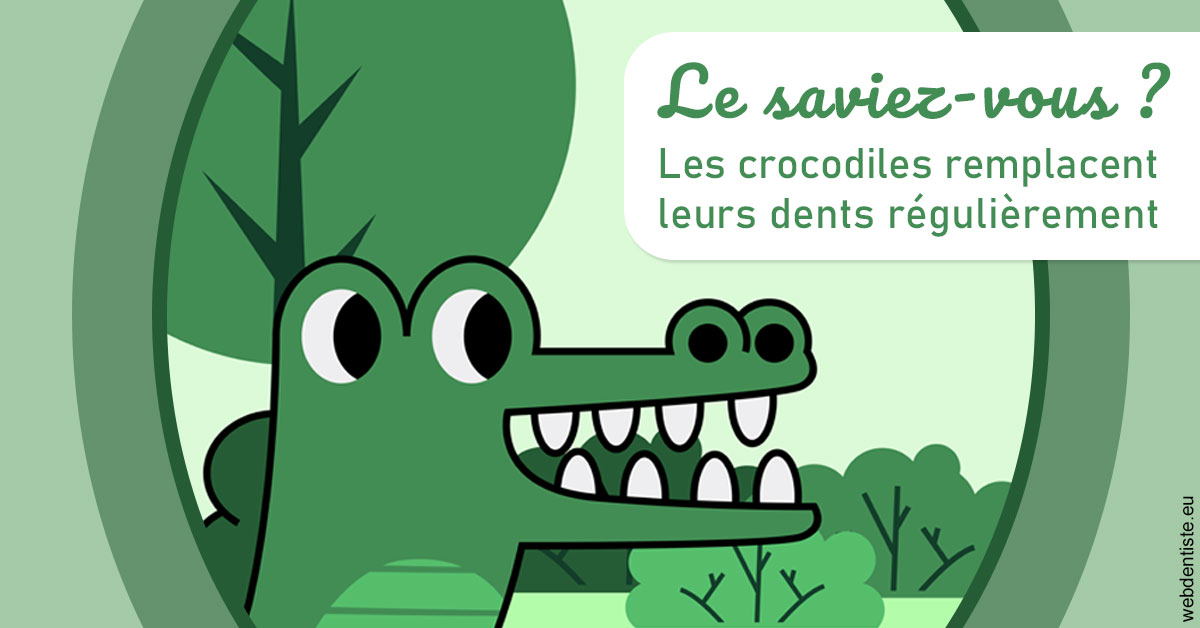 https://dr-minh-phan.chirurgiens-dentistes.fr/Crocodiles 2