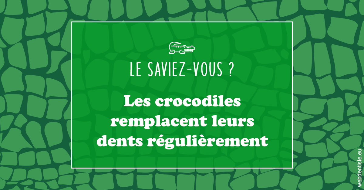 https://dr-minh-phan.chirurgiens-dentistes.fr/Crocodiles 1